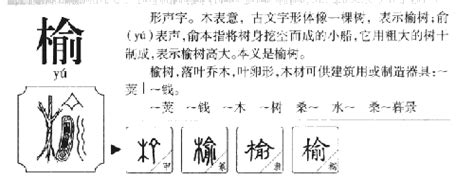 榆姓名學|榆字取名寓意是什么 男孩榆字取名吉利吗